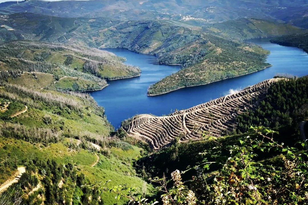Photo of Others in Pampilhosa da Serra