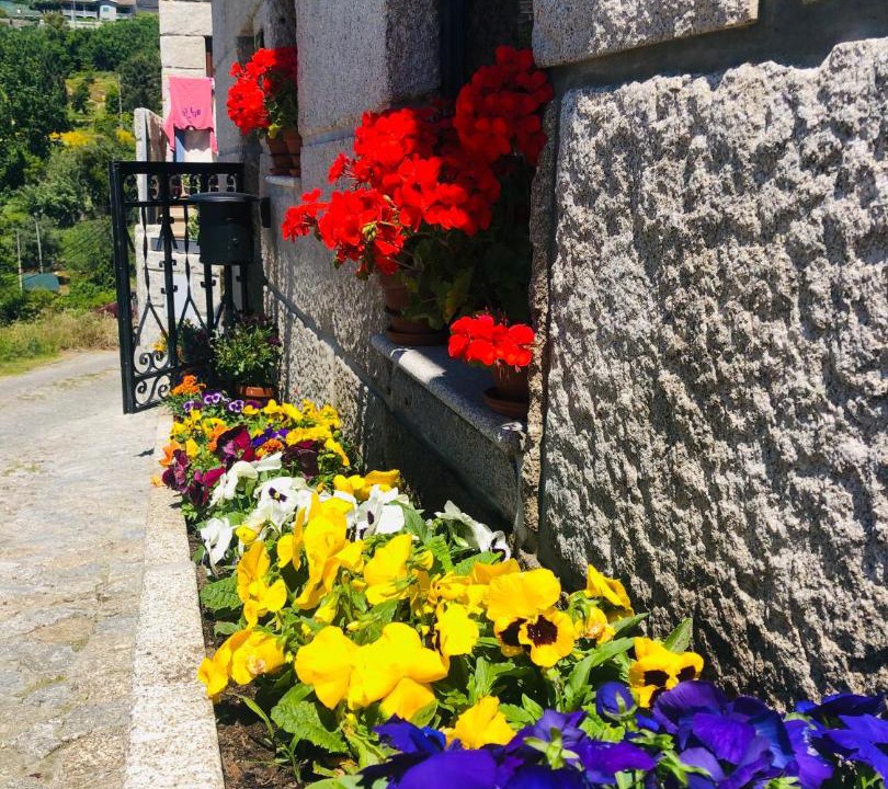 Photo of Others in Bitetos