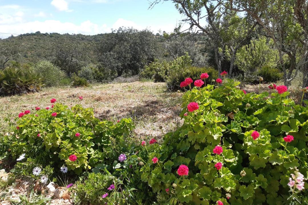 Photo of Outdoor in Sargacal