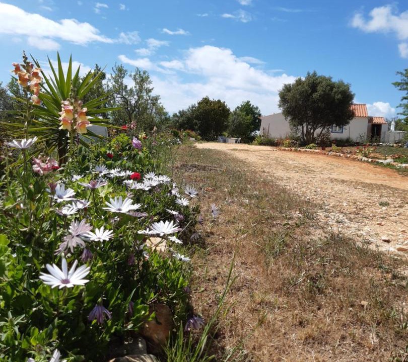 Photo of Outdoor in Sargacal