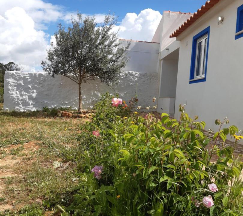 Photo of Buildings in Sargacal