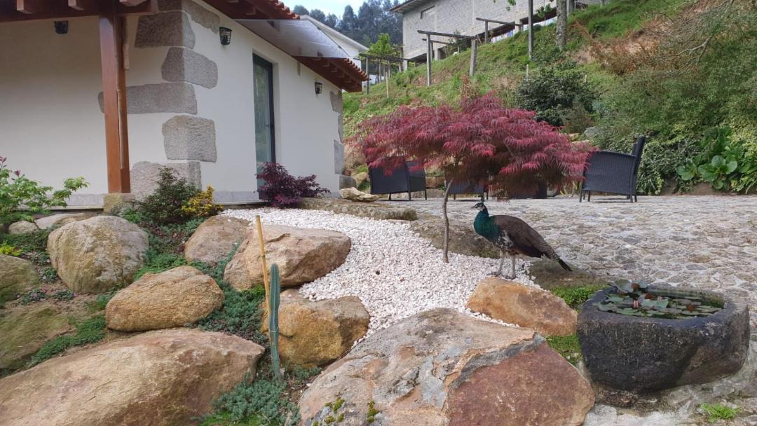 Photo of Others in Arouca