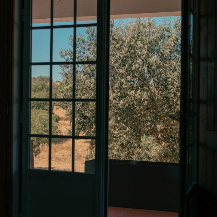 Photo of Others in Avis