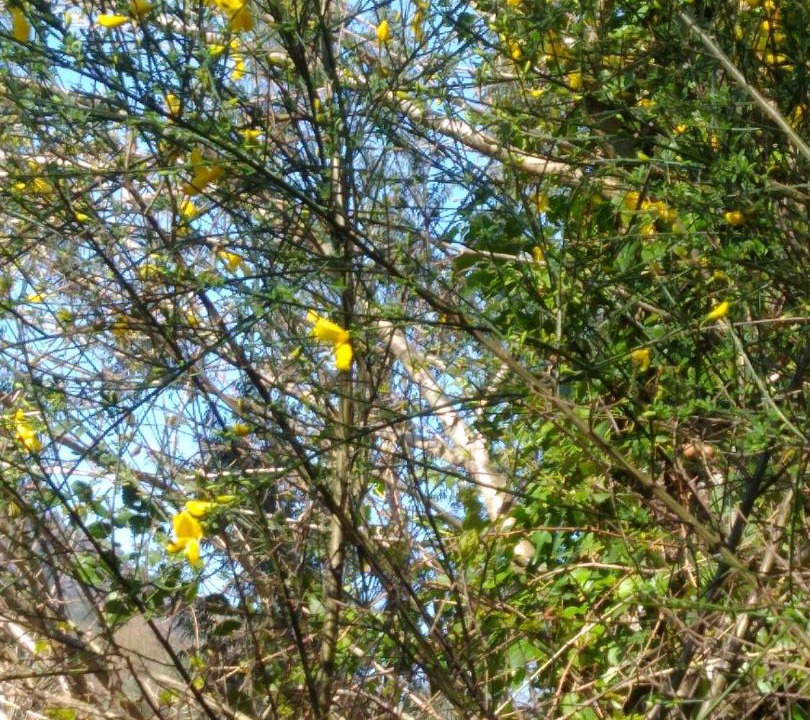 Photo of Others in Cabril