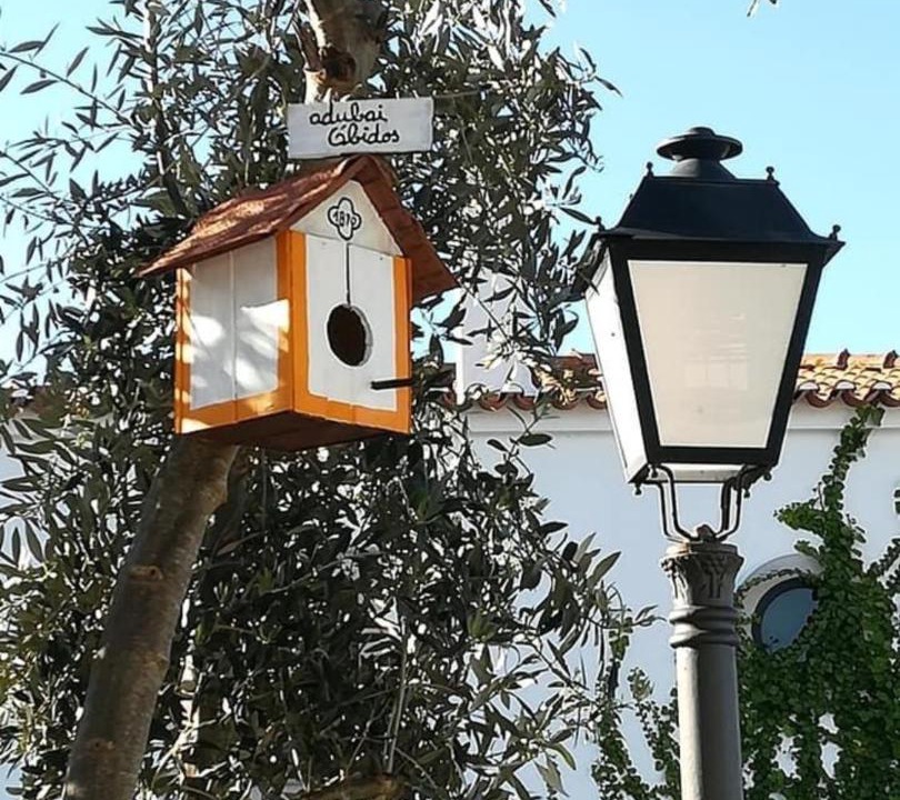Photo of Others in Obidos