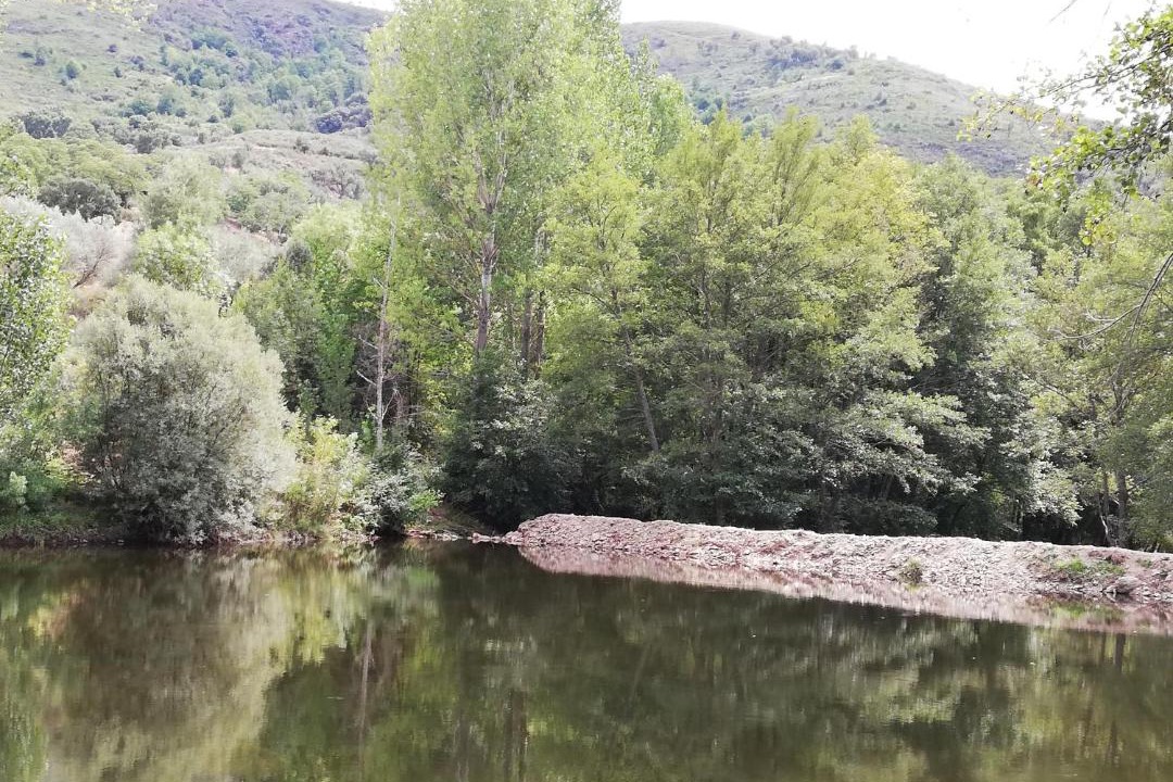 Photo of Others in Rio De Fornos