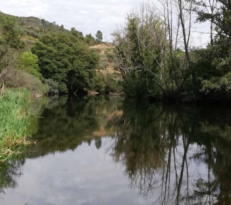 Photo of Others in Rio De Fornos