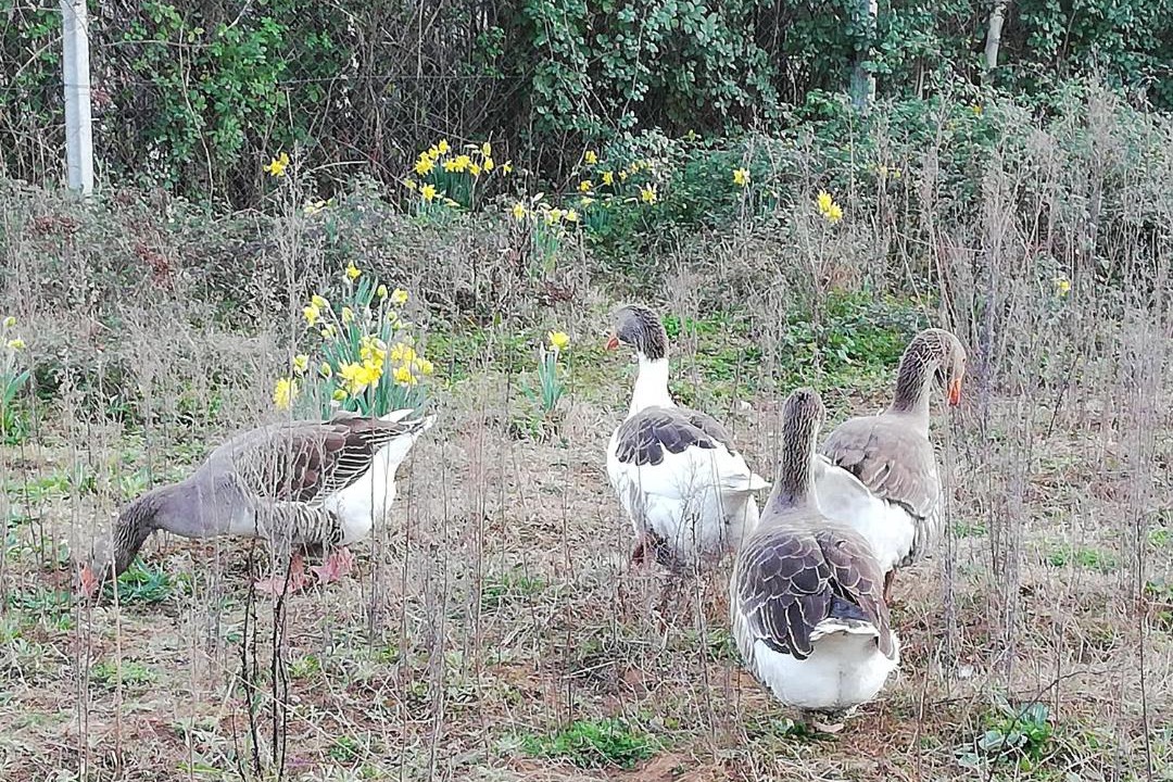 Photo of Others in Rio De Fornos