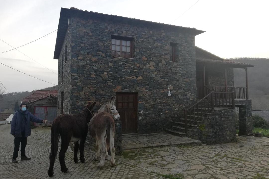 Photo of Others in Rio De Fornos