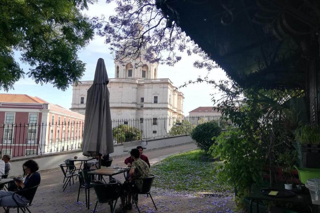 Photo of Others in Penha de Franca