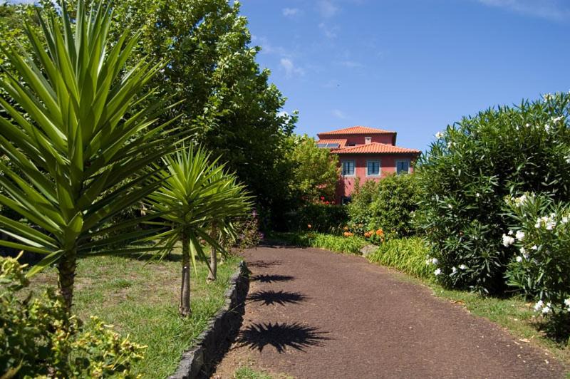 Photo of Others in Horta