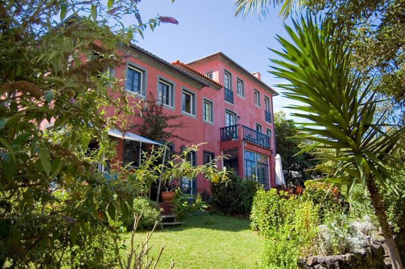 Photo of Others in Horta