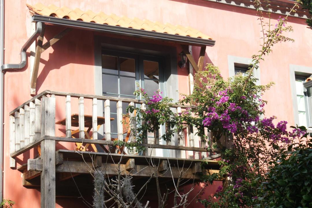 Photo of Others in Horta