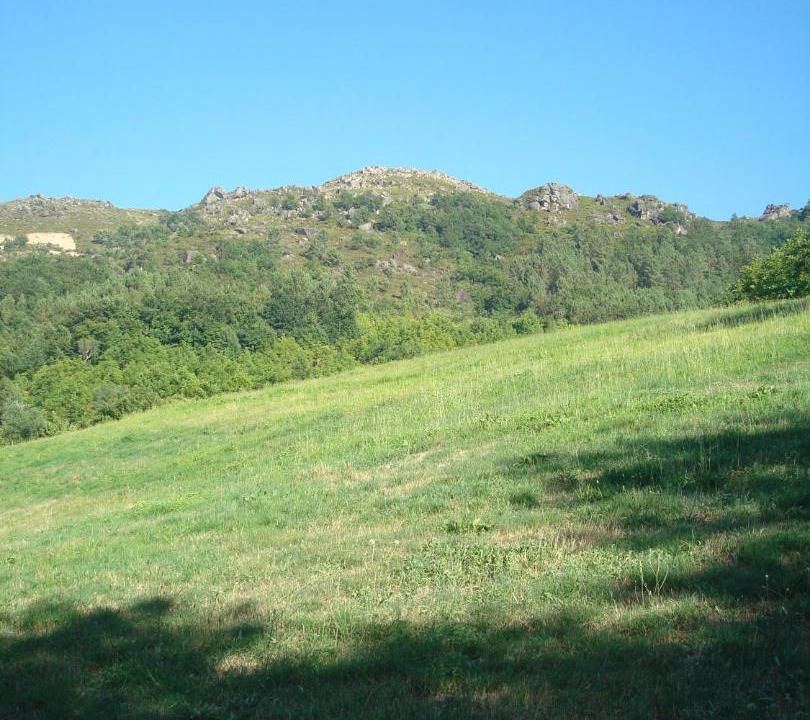 Photo of Others in Cabril