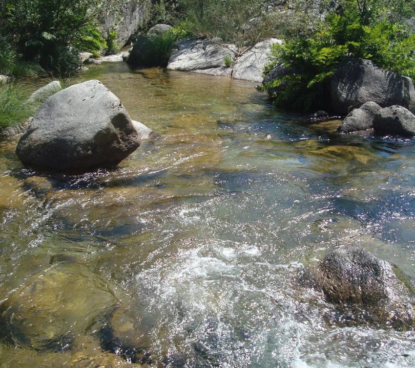 Photo of Others in Cabril