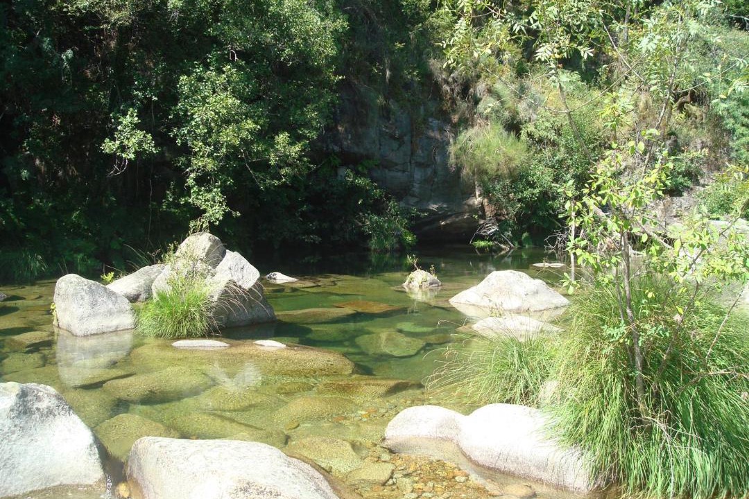 Photo of Others in Cabril