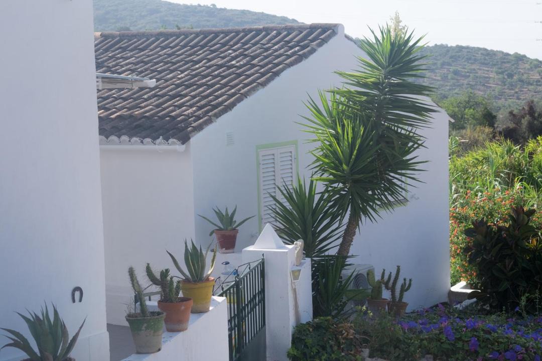 Photo of Others in Azinheiro