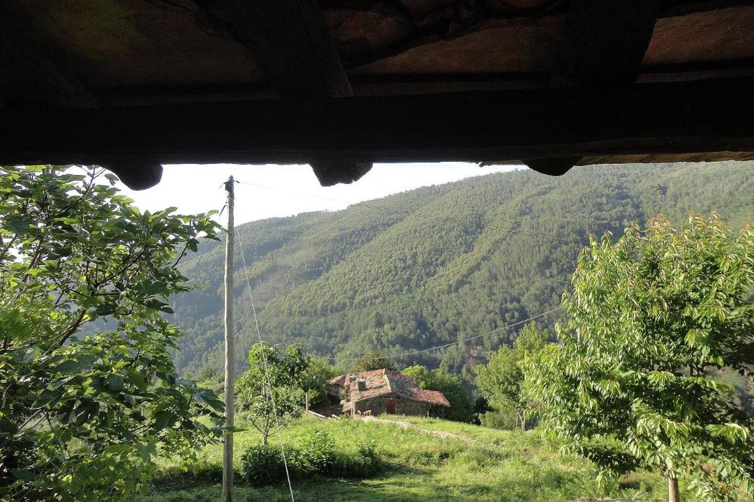 Photo of Others in Lousa
