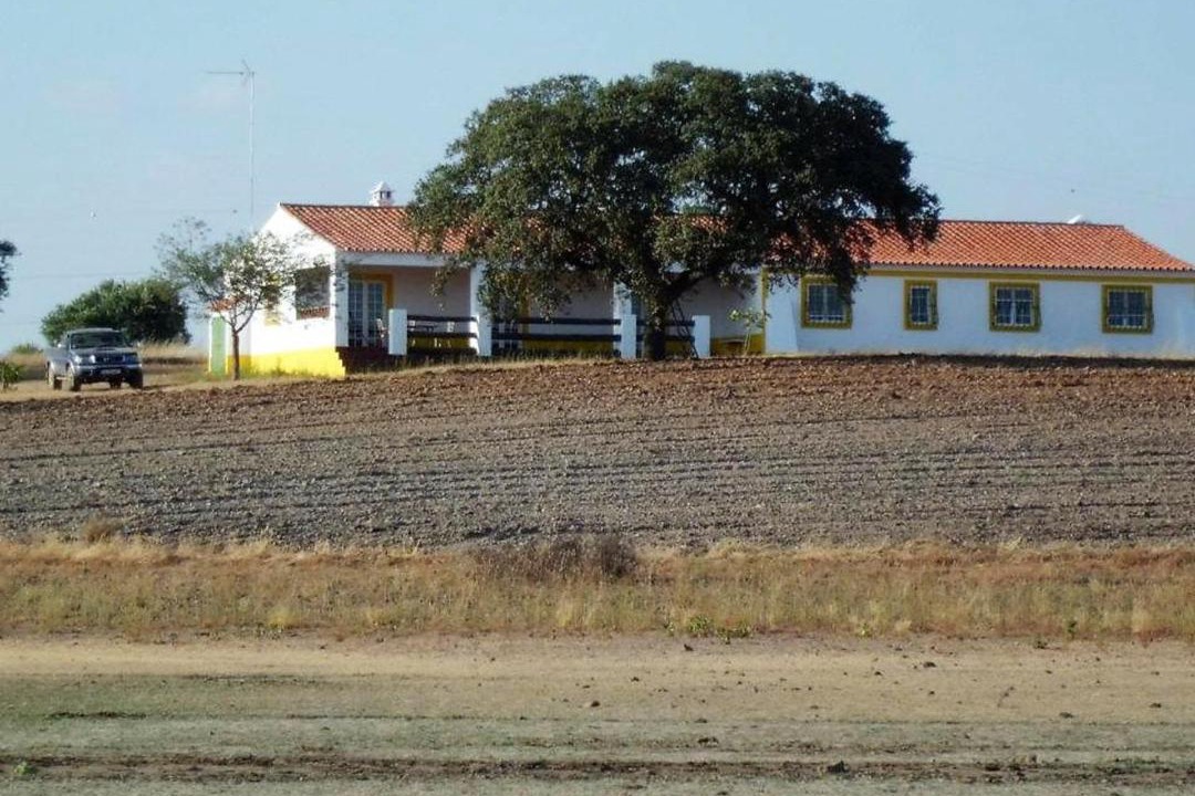 Photo of Others in Moura
