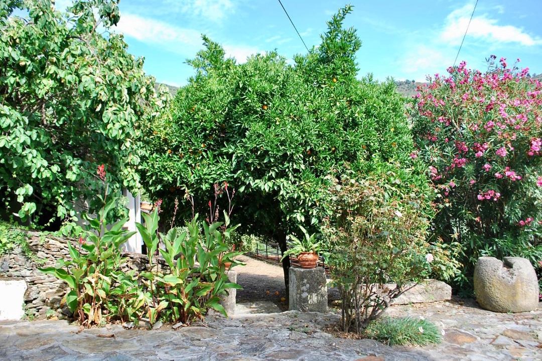 Photo of Others in Bomfim