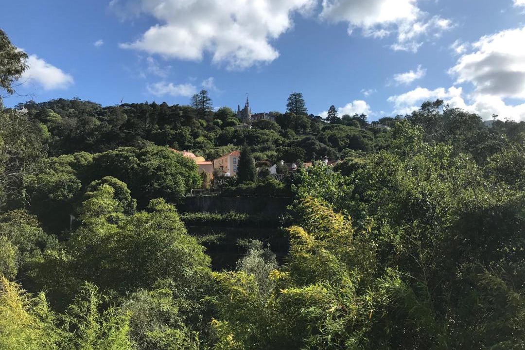 Photo of Others in Sintra