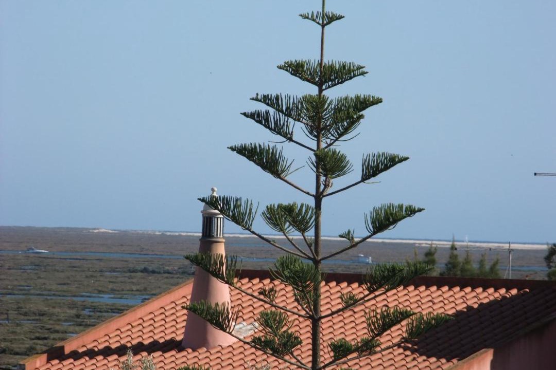 Photo of Others in Montenegro