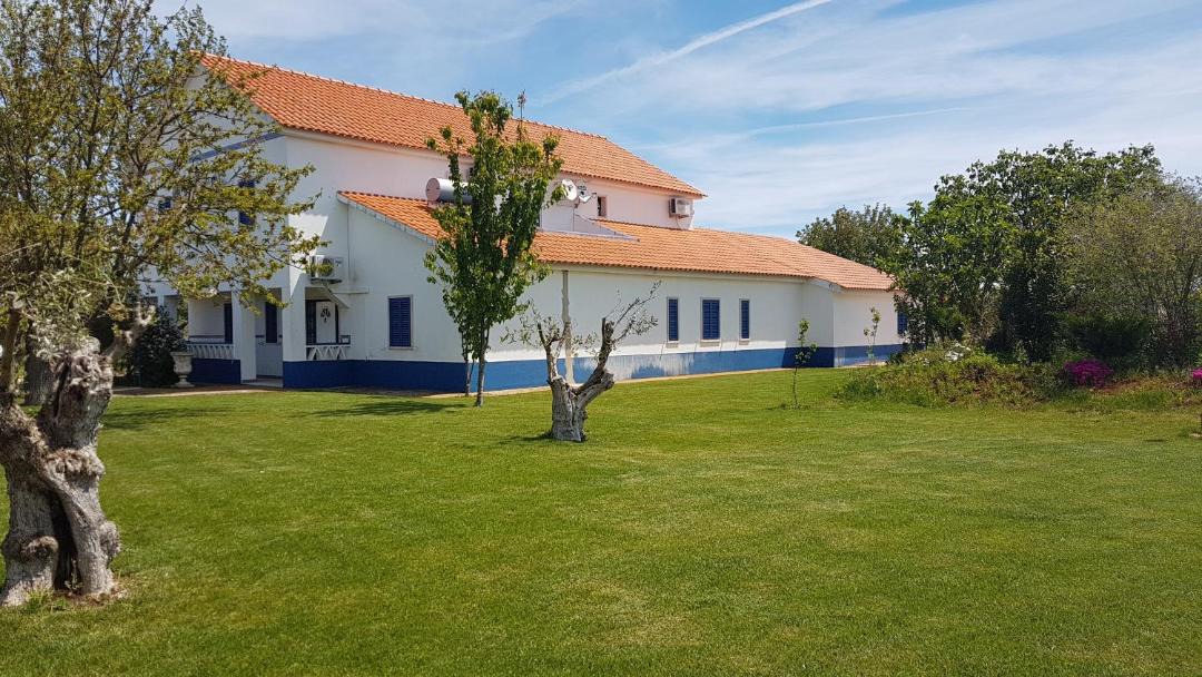 Photo of Buildings in Borba