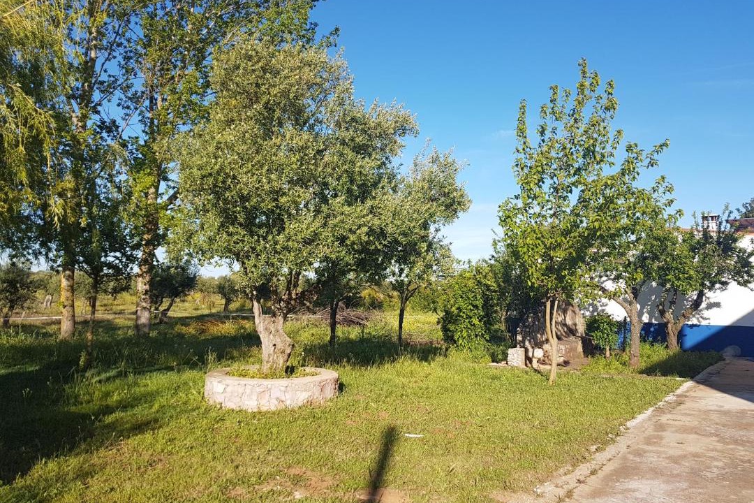 Photo of Outdoor in Borba