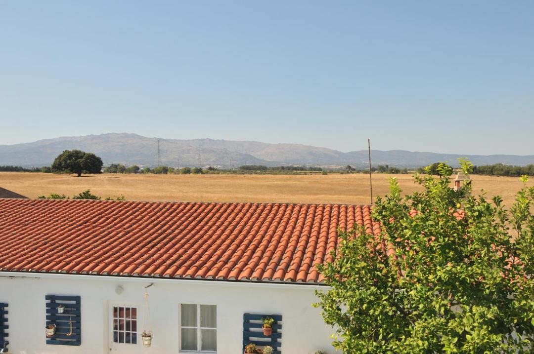 Photo of Others in Castelo Branco