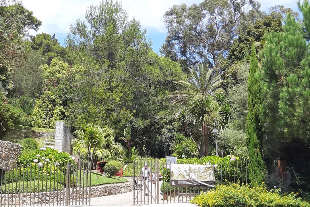 Photo of Others in Estoril