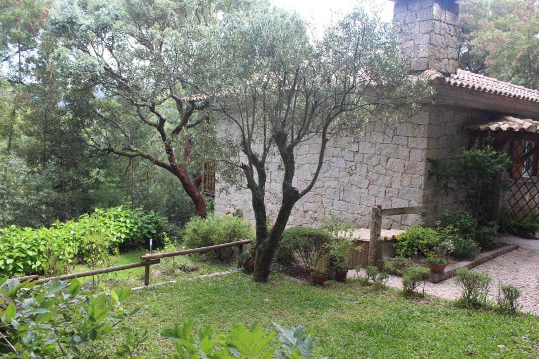 Photo of Others in Couto de Esteves