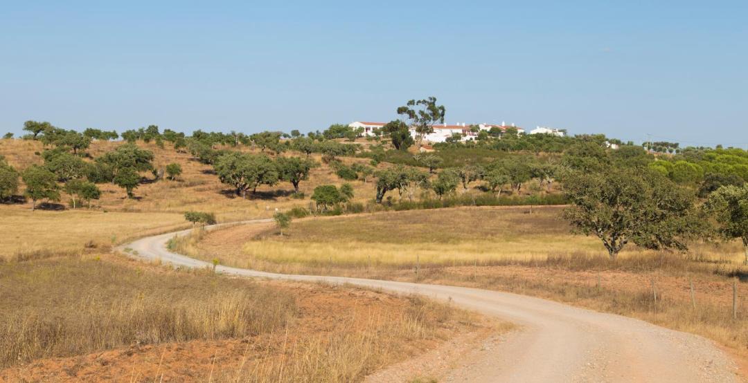 Photo of Others in Castro Verde