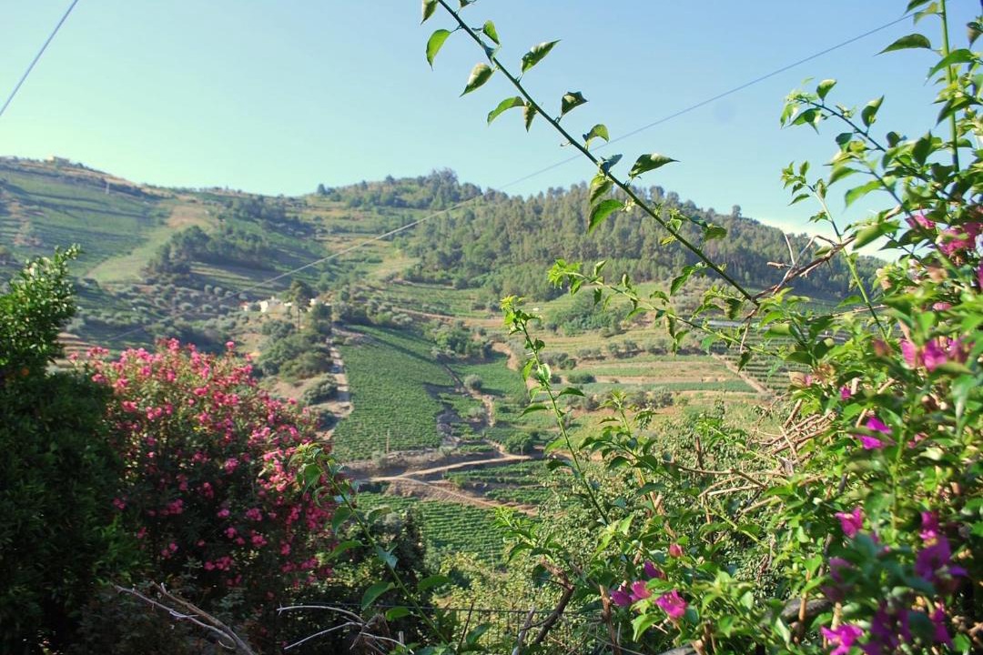 Photo of Others in Bomfim