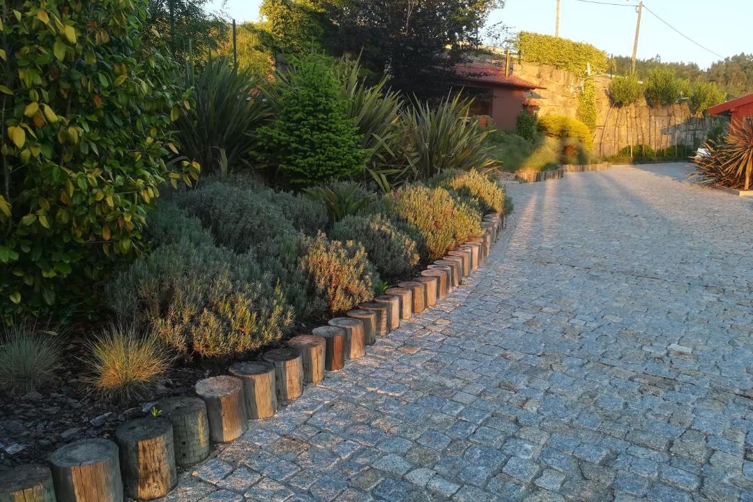 Photo of Others in Mosteiro