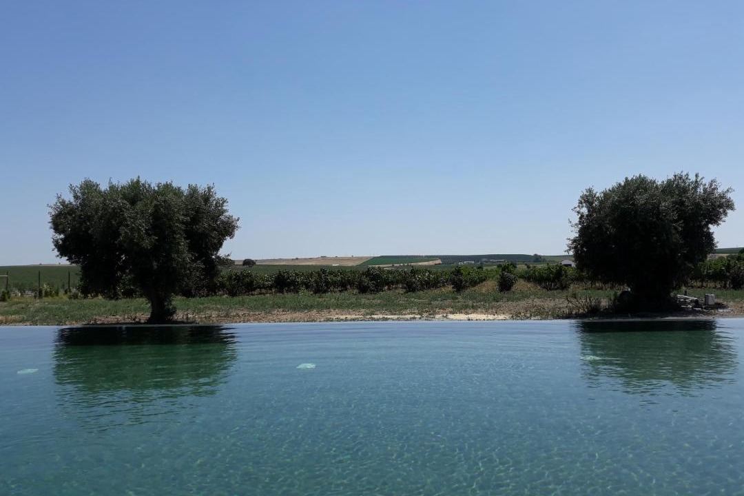 Photo of Others in Beja