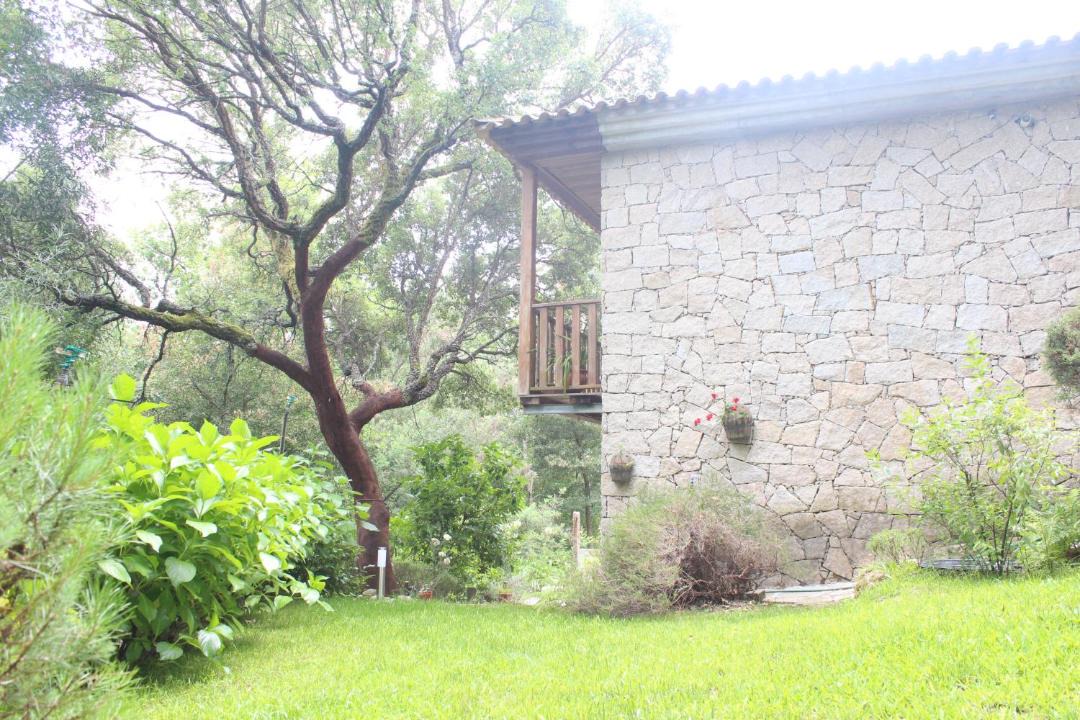 Photo of Others in Couto de Esteves