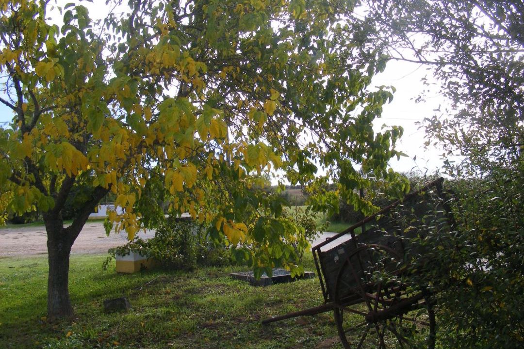 Photo of Others in Cegonhas