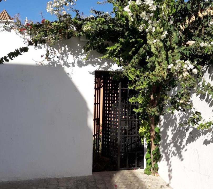 Photo of Others in Tavira