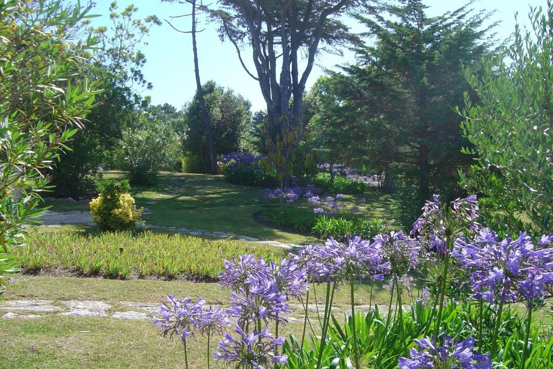 Photo of Others in Magoito