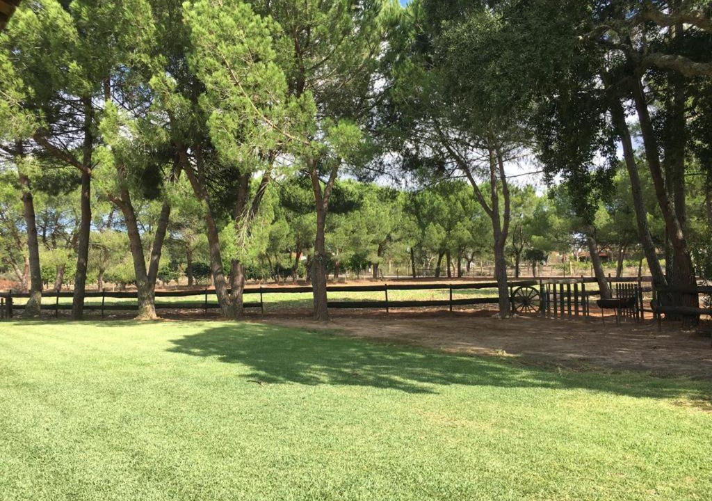 Photo of Outdoor in Salvaterra de Magos