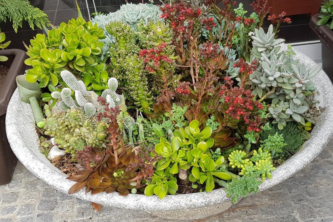Photo of Outdoor in Maia