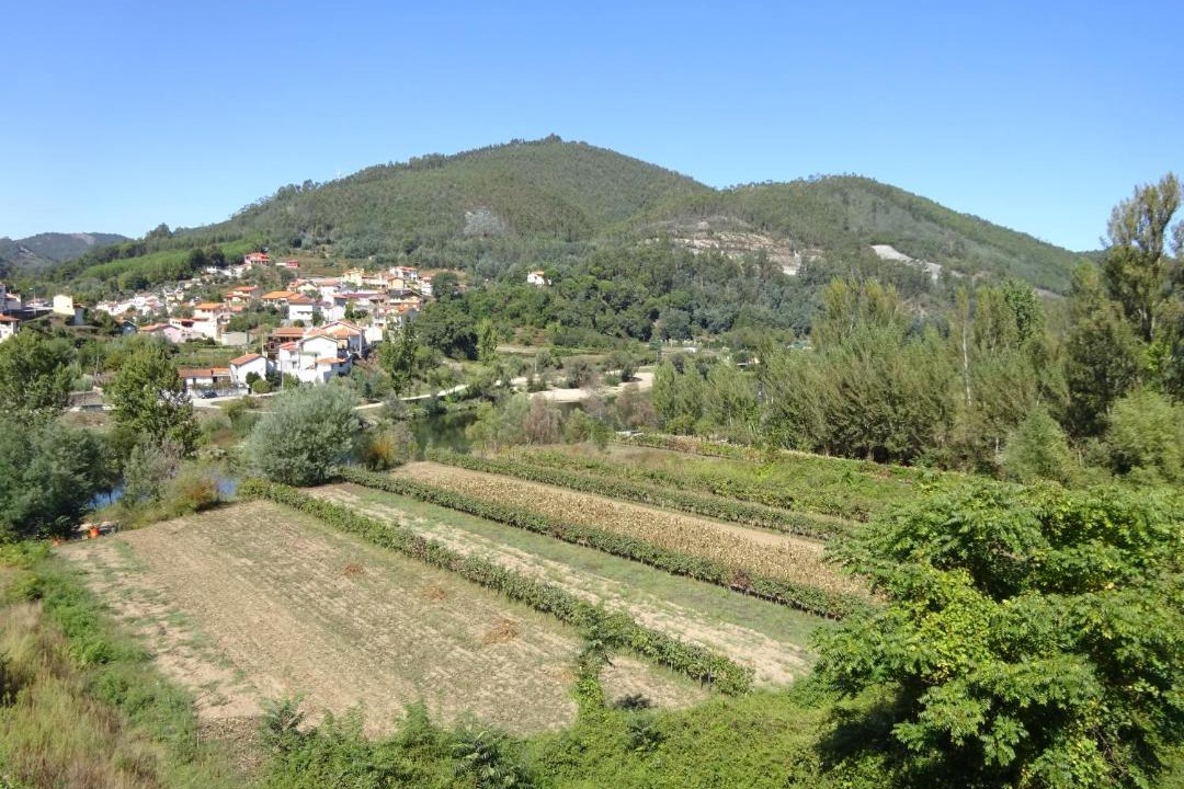 Photo of Others in Penacova