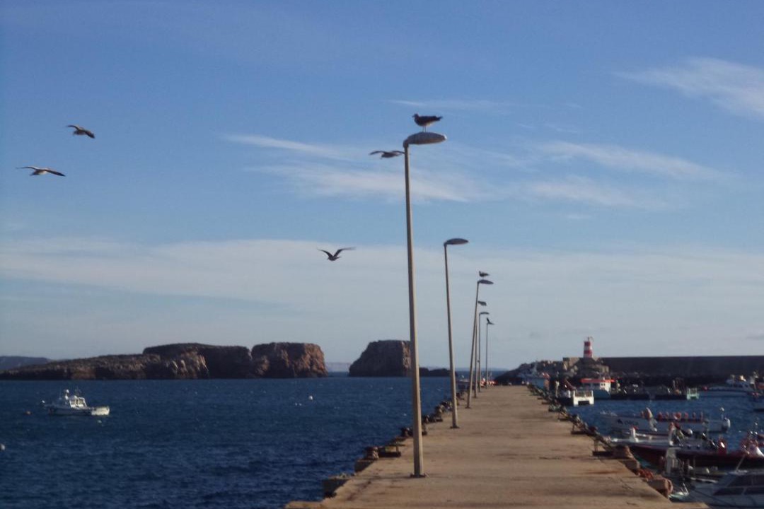 Photo of Others in Sagres