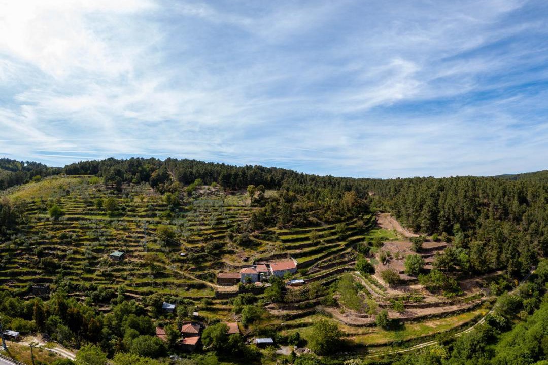 Photo of Others in Vila Real