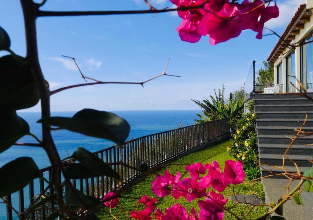 Photo of Others in Calheta