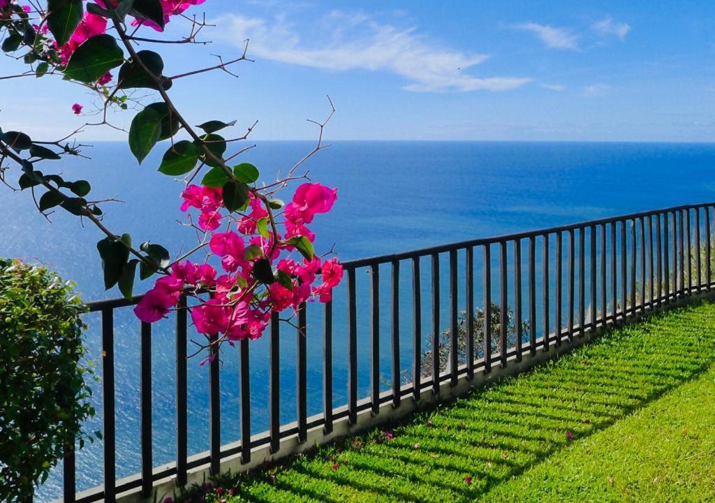 Photo of Others in Calheta