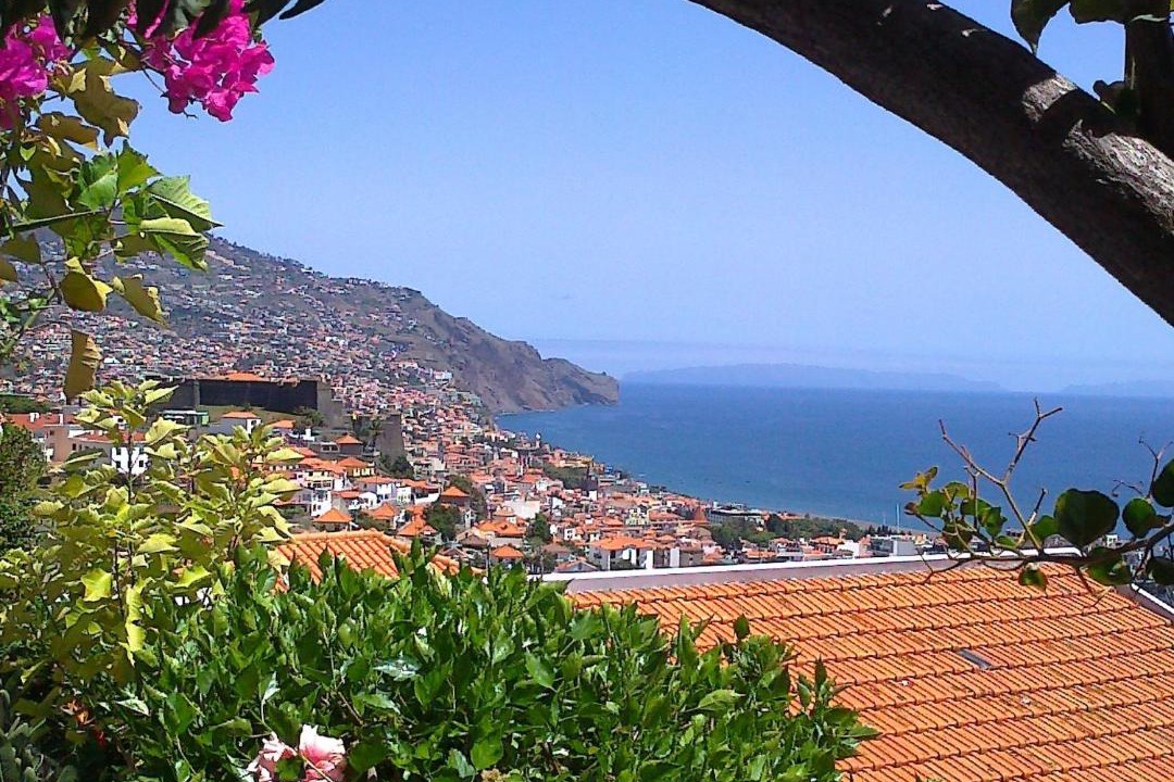 Photo of Others in Sao Pedro