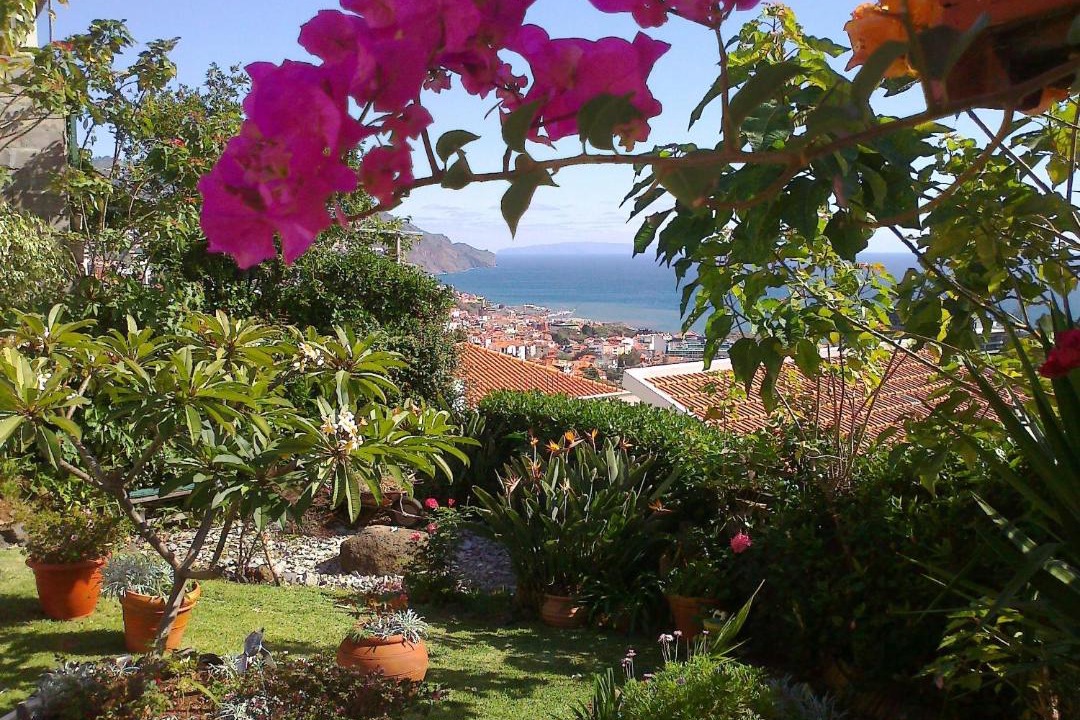 Photo of Others in Sao Pedro