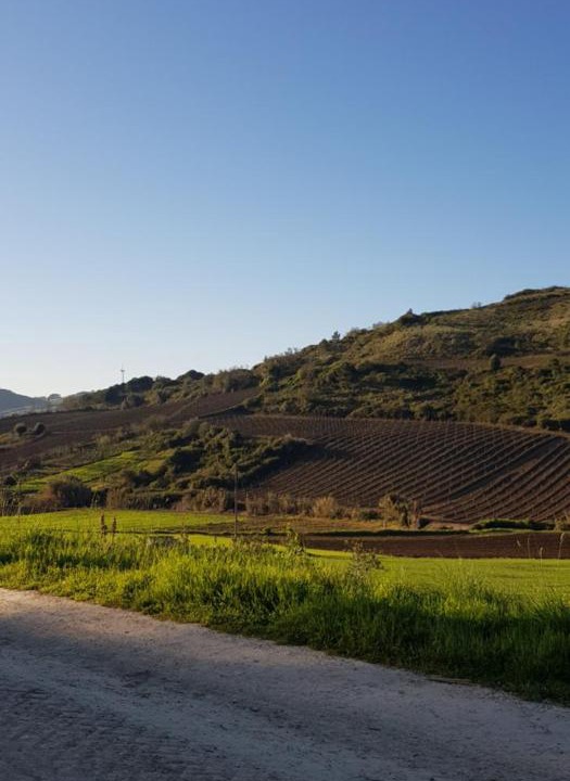 Photo of Others in Sobral de Monte Agraco