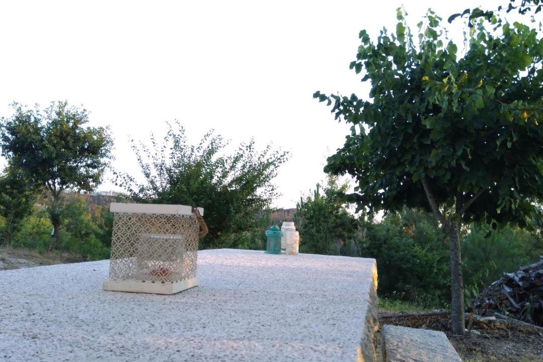 Photo of Others in Castro Daire